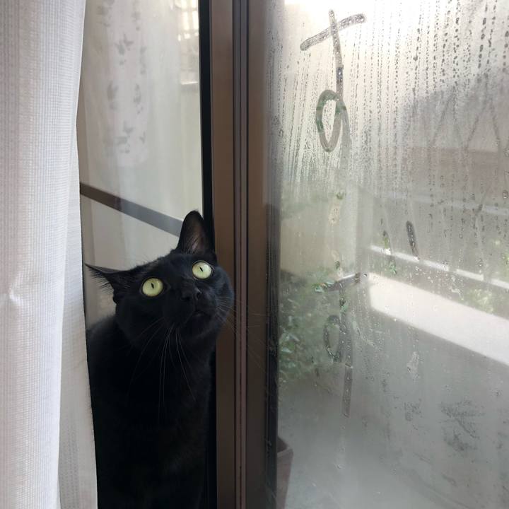 9425afea 7668 49e4 b375 a8336ce73793 1572476955525