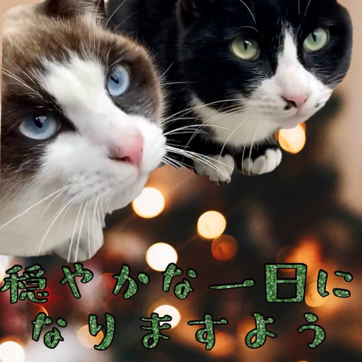 9425c9e2 18f1 4ffe 8815 f5e33cf3bf90 1734982754172