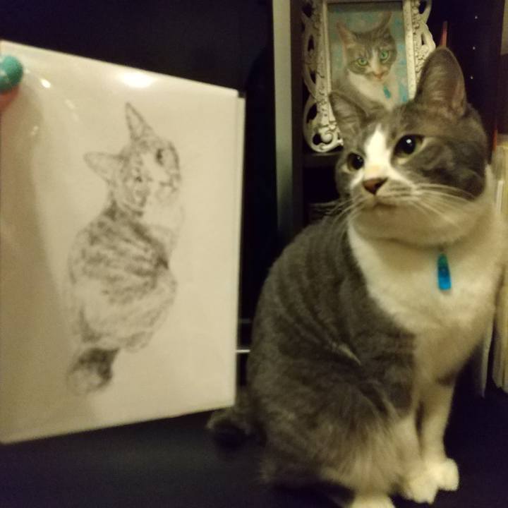 9425e8c8 6514 47d4 8d6c 35455f9cca0f 1610667701273