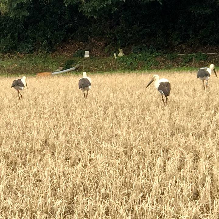 9425e94a ca63 47f5 9eb3 79af6c5dc89d 1709437626887