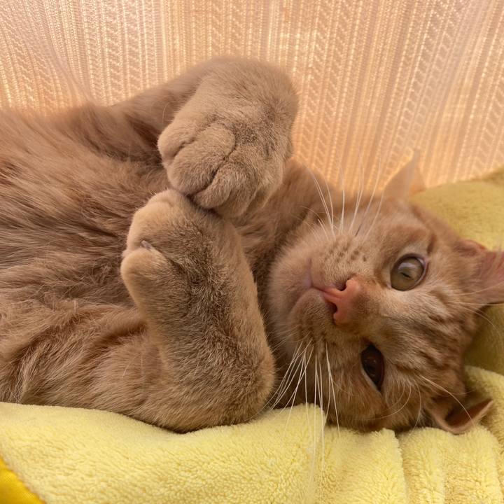 94264a3d d926 4a76 9af8 498c14bc218a 1643098325700