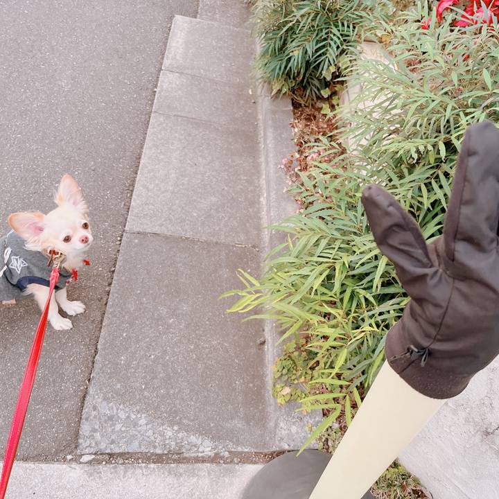 942654a8 6f5c 43f1 a1dd efcf6e391d53 1669969951372