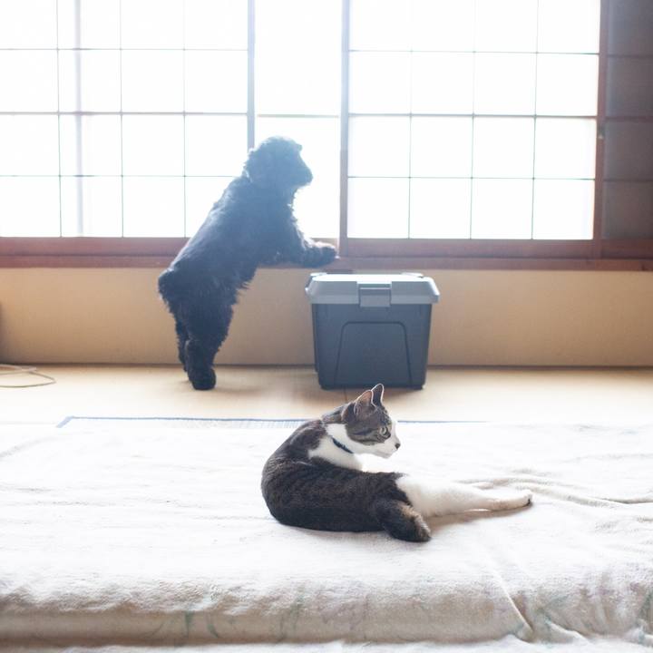 942667e4 443e 489a 961b 2ff7e3eeadd9 1555692571974