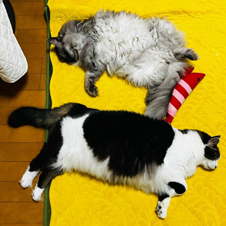 94267172 1fa0 49cd 8823 611c37075ca7 1738721992939