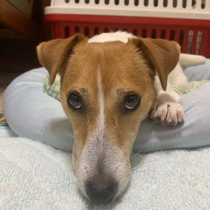 942696fc 2da0 4f5a 80a0 18d9ecb24c8f 1596631062521