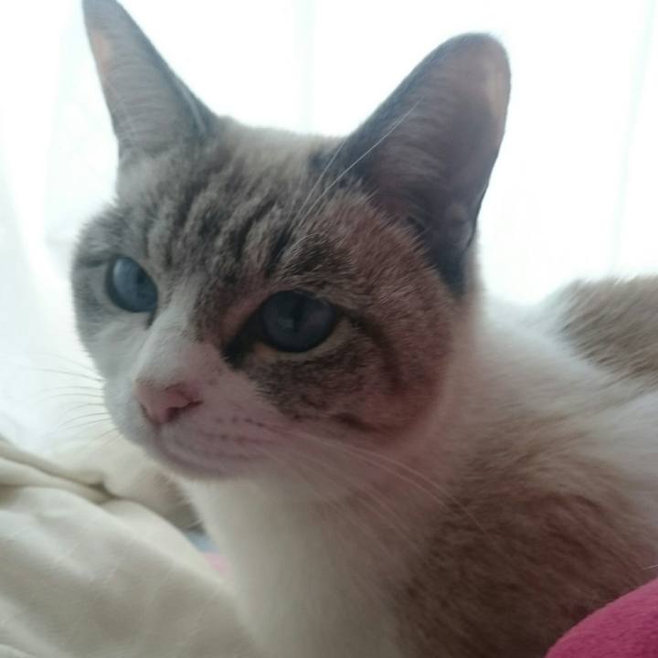 9426a749 f86c 49e3 9b32 ebfb01d5dc49 1508801978550