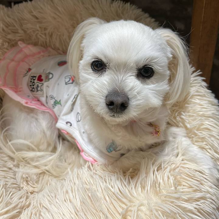 9426e882 fffa 411a 9139 bd983bb6b967 1681205702804