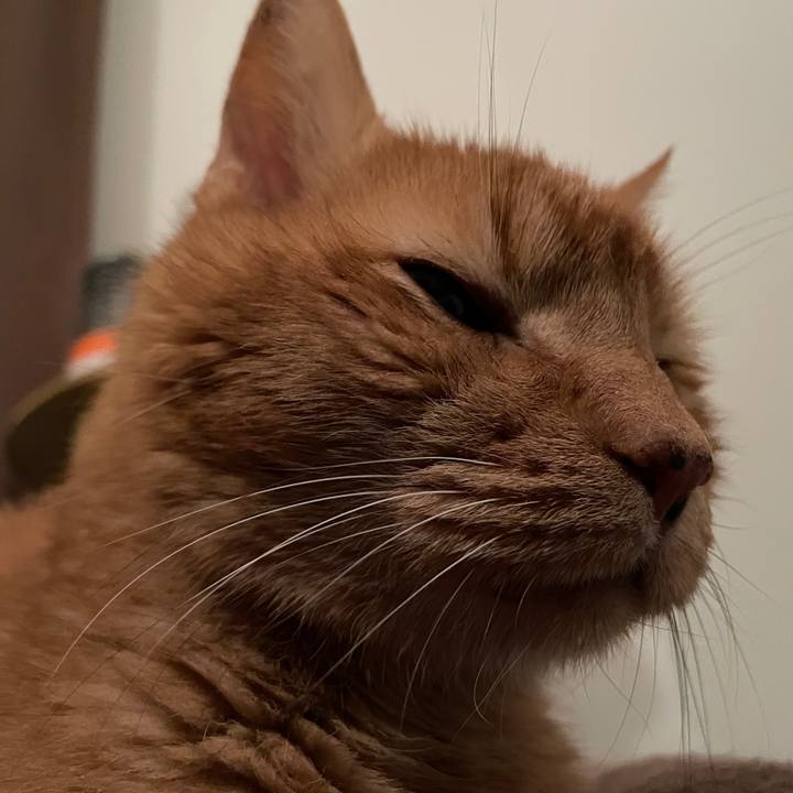 94272b50 eacd 4169 9a91 702a03d9175d 1769556602513