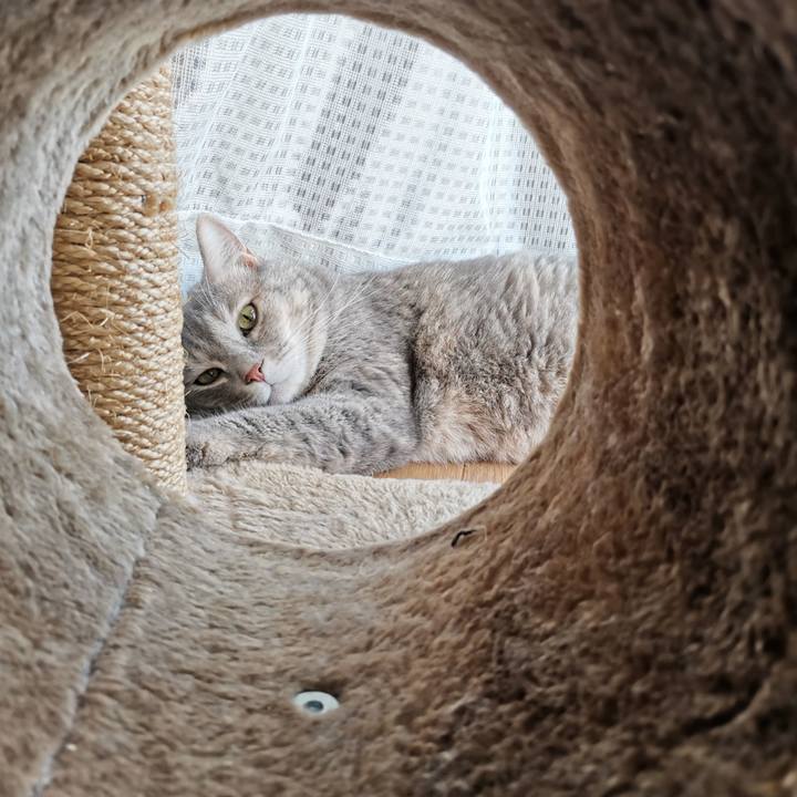 9427545a 4dea 42d3 8152 5a5443dd51b1 1599356469044