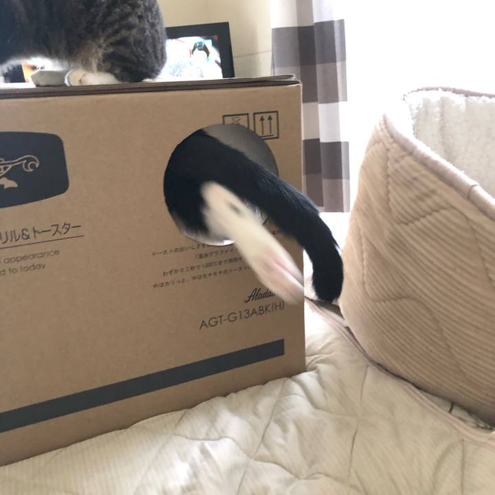 94275a9a 702a 453c ada2 3c1255eb61bb 1597555380169