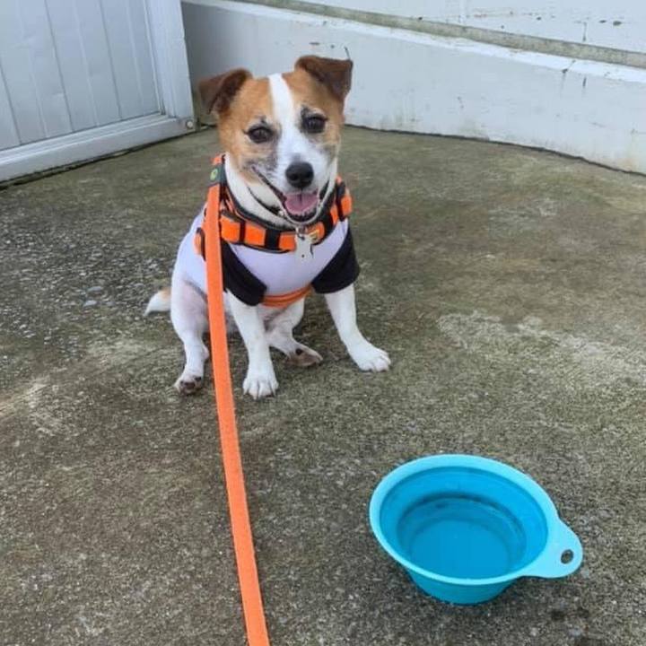 942770f7 e6c1 4aa0 b183 78dcfb6df5ed 1657500715763