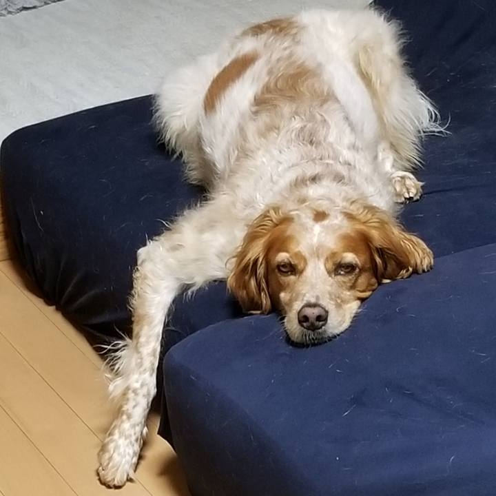 9427b149 97bd 48c9 ab30 fdc5a42c87c6 1684502323697