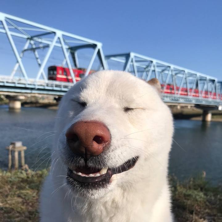 9427c753 cd9d 47d0 80d8 afffc81c29d0 1520811571326