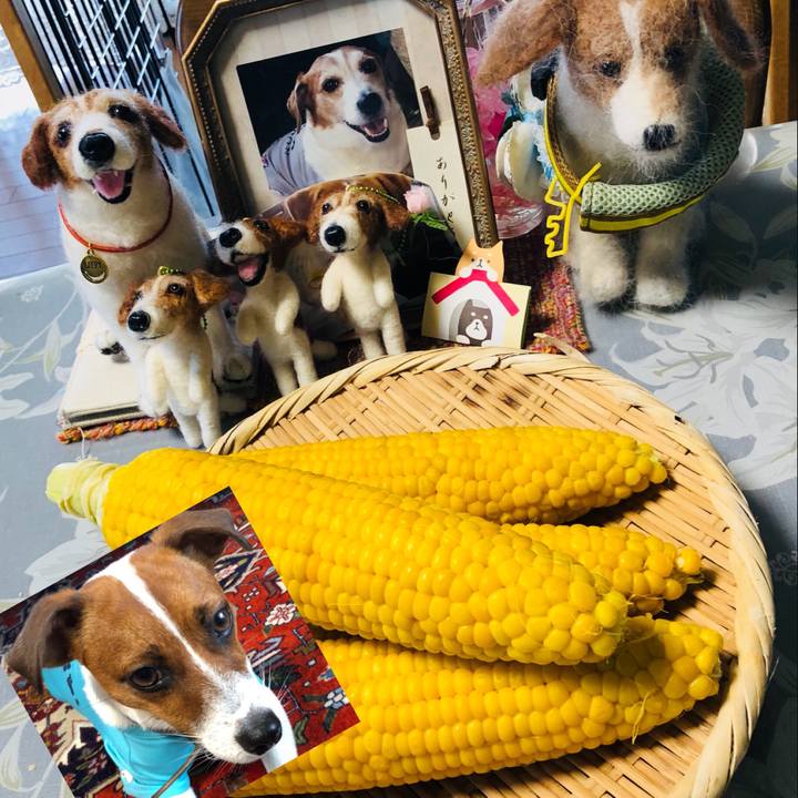 9427cc6c 3778 41cb a5b9 b515df9c4e22 1532761614901