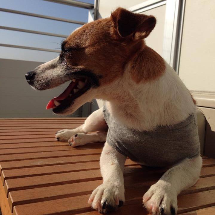 9427d9ab 78e1 4fcc 9757 691be2714424 1659056258659