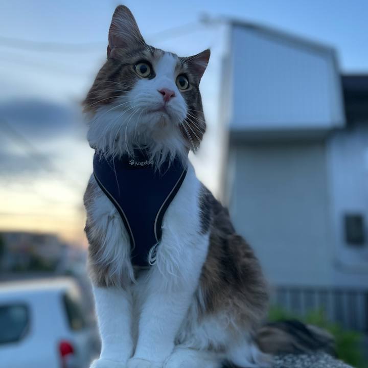 9427e082 560e 48cf 8eb6 35c8ce74c63e 1655808038166