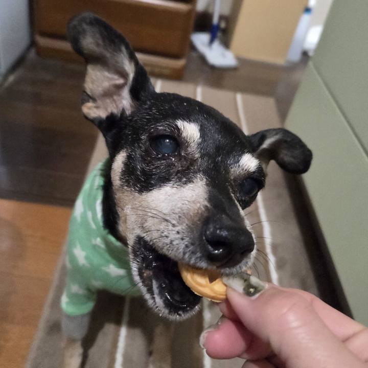 9428063d f65a 4c70 a677 8eec74c17827 1769716217910