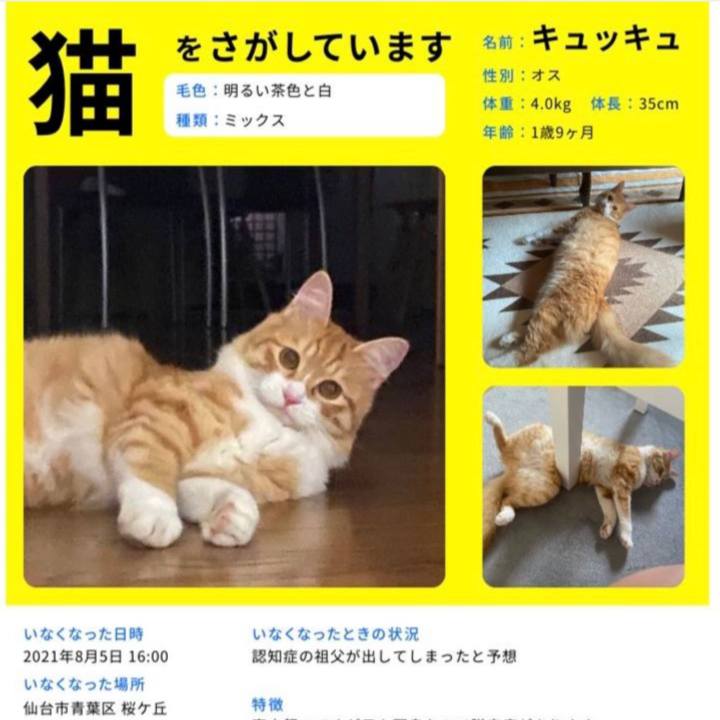 942808ac 4174 4e31 b9d4 7ebe19575fe8 1629796137147