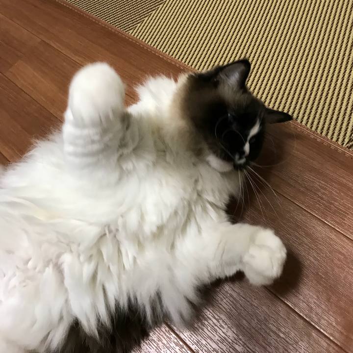 9428117a aae9 401a ad09 404ca175e147 1518784120137