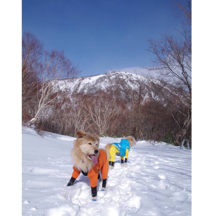 942820e4 cc9b 4108 a863 195de7c55543 1547482950172