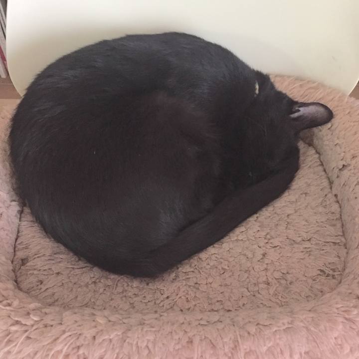 9428321f 0996 4e19 8494 c23819a1ade9 1508035405547