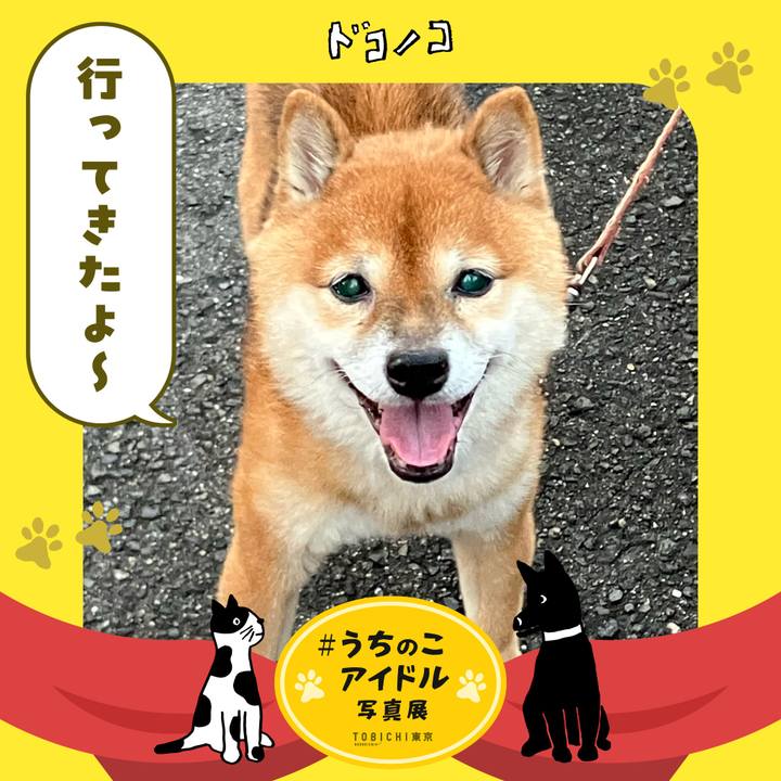 94286c5f 2efe 42a6 92de dd0f4a09ba11 1762164282725