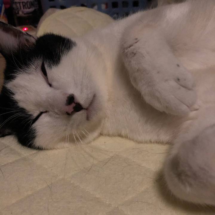 94289e6d bdd9 4abc b4a9 260a2ab1b7d7 1582272206233