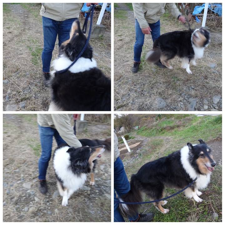 9428c0ce 655f 49be b041 4cda01ea60b0 1575124243125