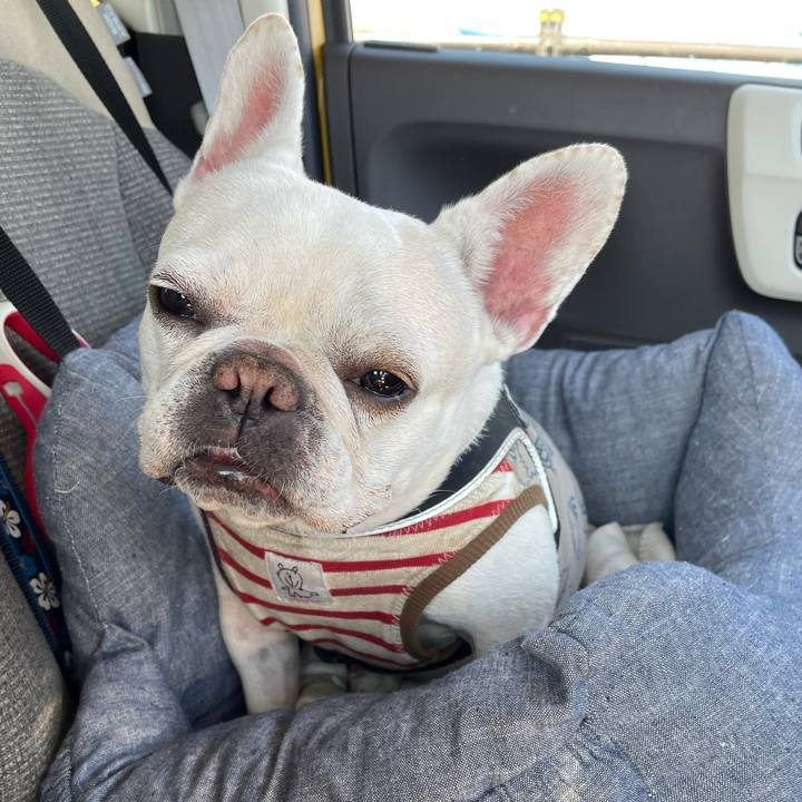 9428da8f ea89 4e55 86ee 41ae8f315db1 1742510938398