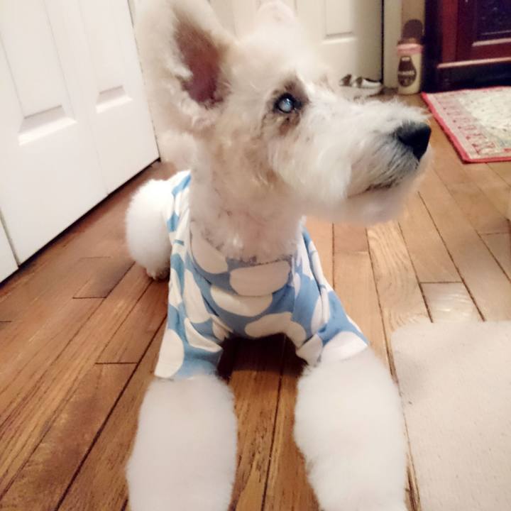 9428e799 abd9 4840 a864 7fc65d3589bd 1524471492980