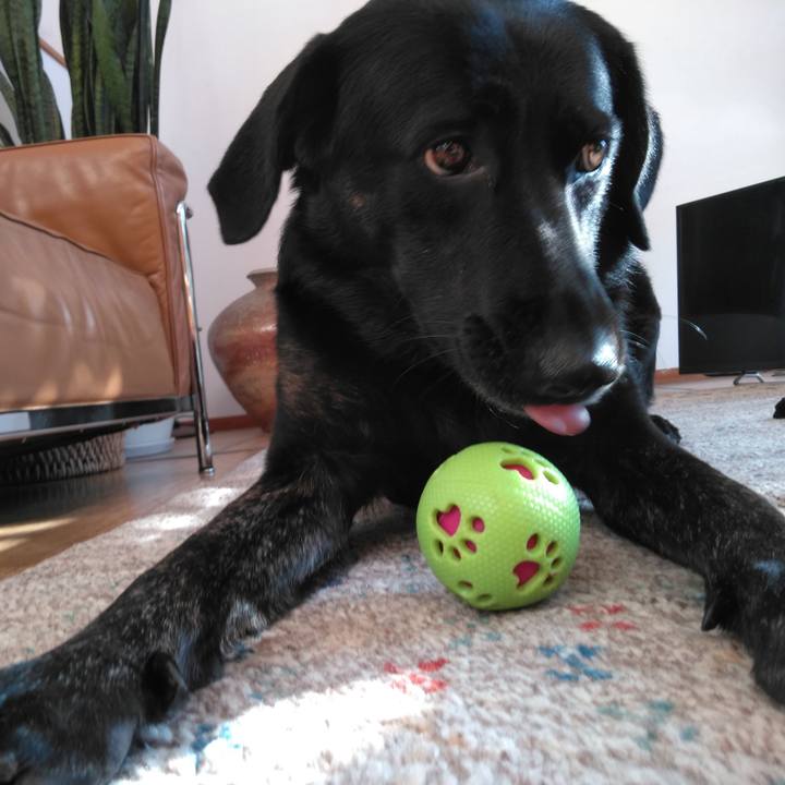 94291151 8346 40e4 9d88 c71695dcd072 1572392640274