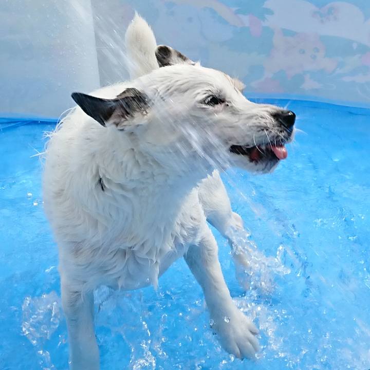 94291bee 6f21 4e0f bfd8 8abbf4e49d3f 1530317470462