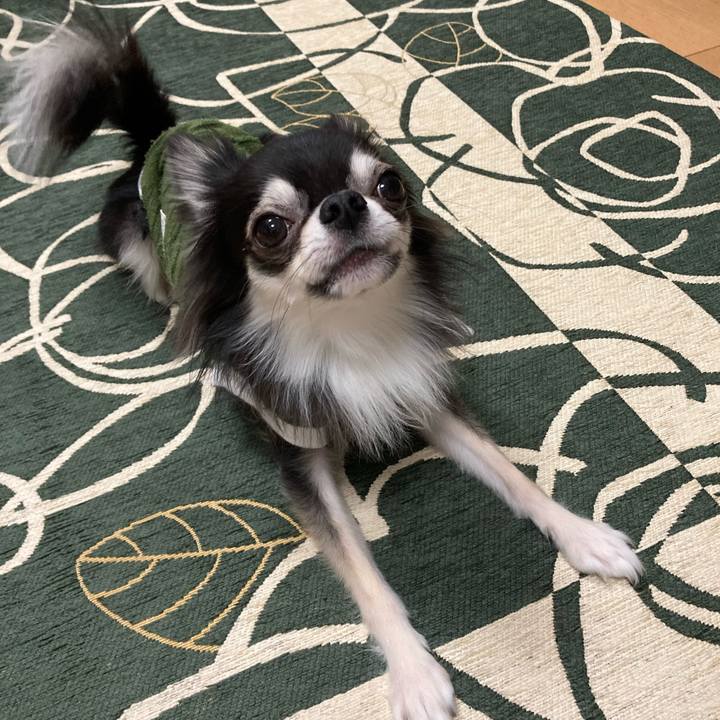 94291ffc ba15 49ba afbc 2e92e8091262 1638021976437