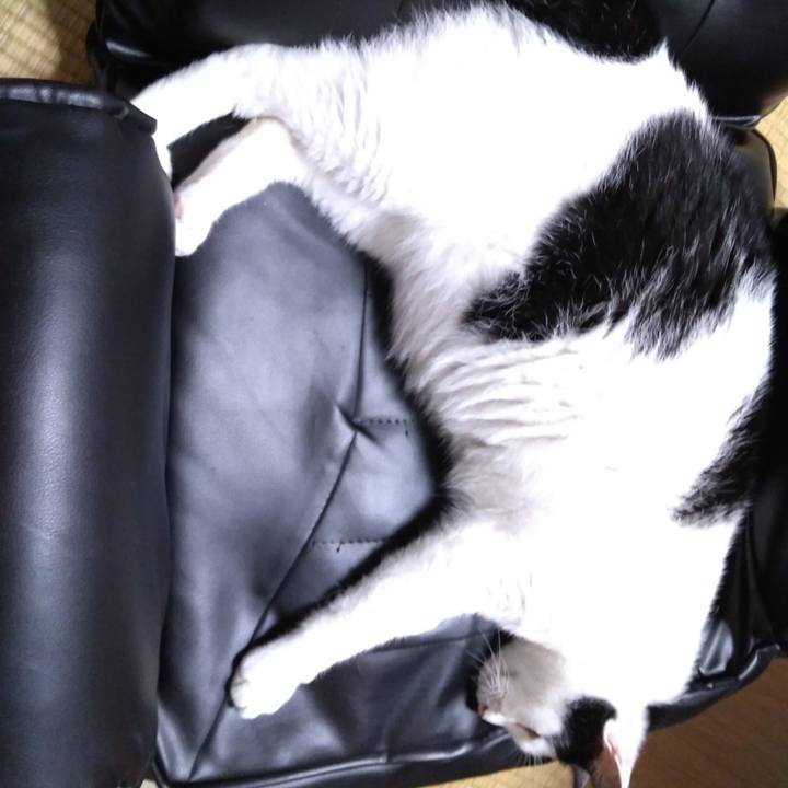 942926ee 2d45 49d5 8800 17b749fe0eb2 1533044697878