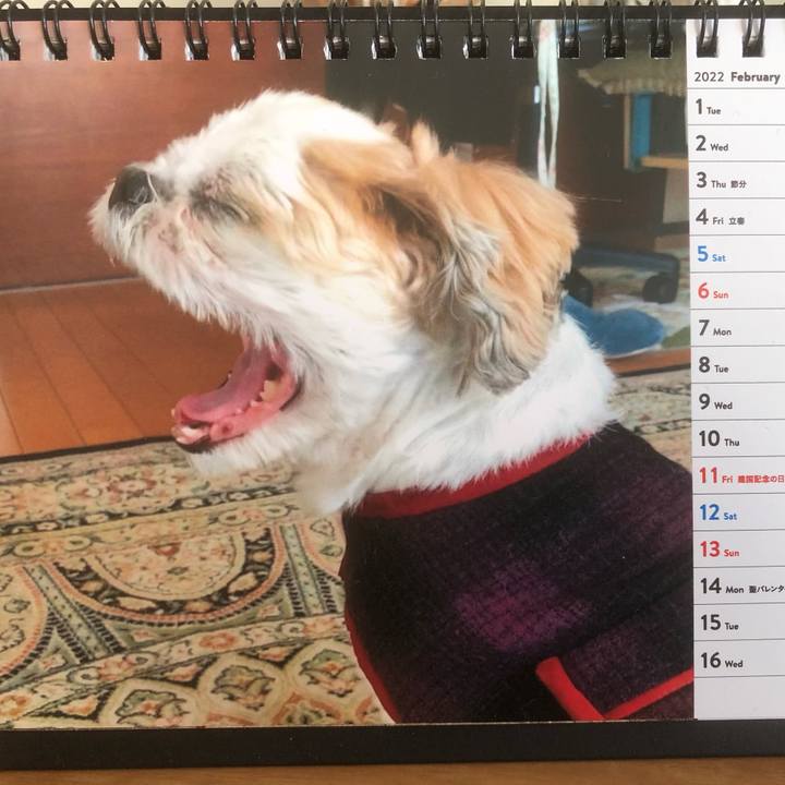 9429355b 06a6 490e 86c1 05e13d87ce38 1644025588086