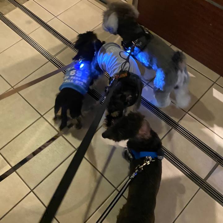 942941cd 53c9 4b35 b6ad 089596fc60e5 1595256228532