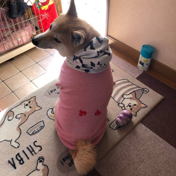 94295192 25cd 4bf2 934f 8147485adc03 1577107002846