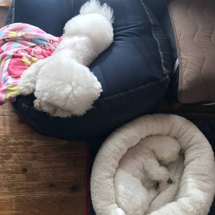 94296275 32c9 4052 9a81 2e785b7c7f30 1543277866628