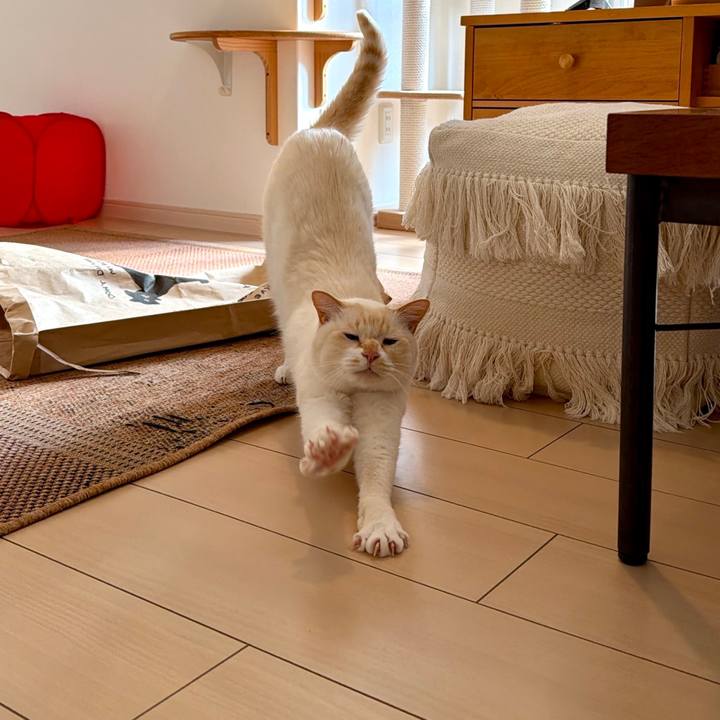 94297f9b c5a1 4a52 a8a9 1484b1a1446f 1770186047882