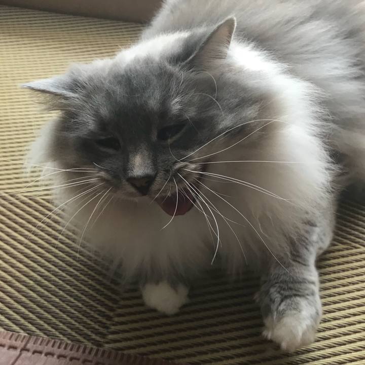 94299b57 136a 4a45 88aa ae6e74b1c1b2 1521265014542