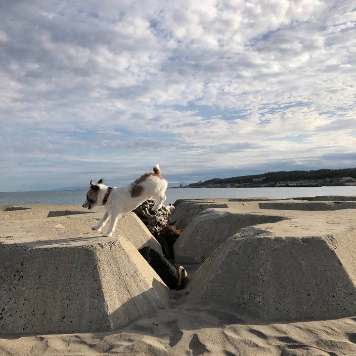 94299d78 2e73 4878 b8b6 d2f7bbd2bdaf 1602457303163