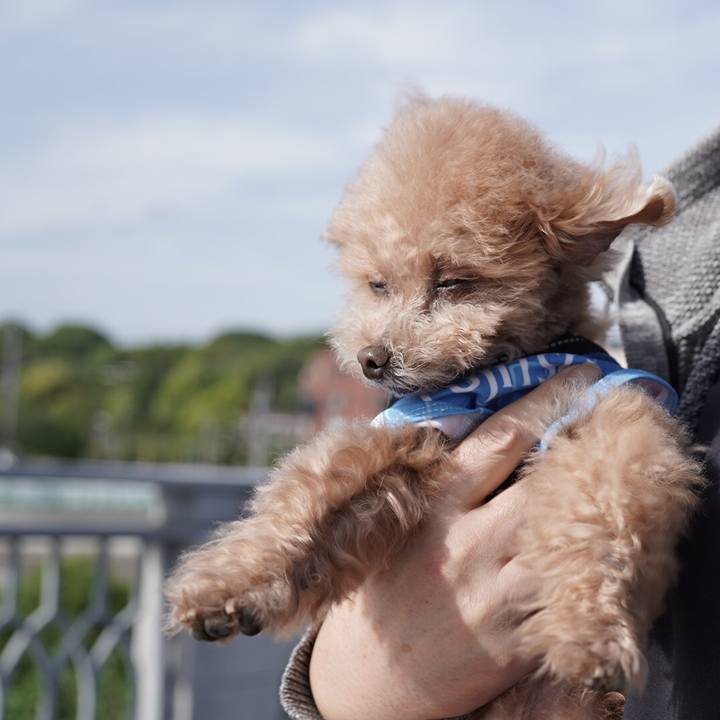 9429addd dcf5 45fb 8aa8 e7f197c178b3 1697253780458