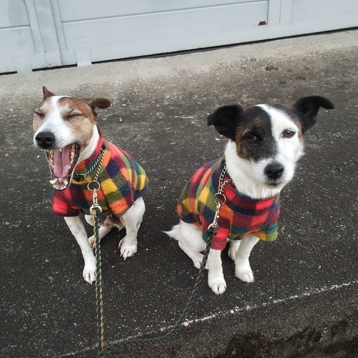 9429b4ae 6914 4977 8b66 22bace57761a 1767822949837