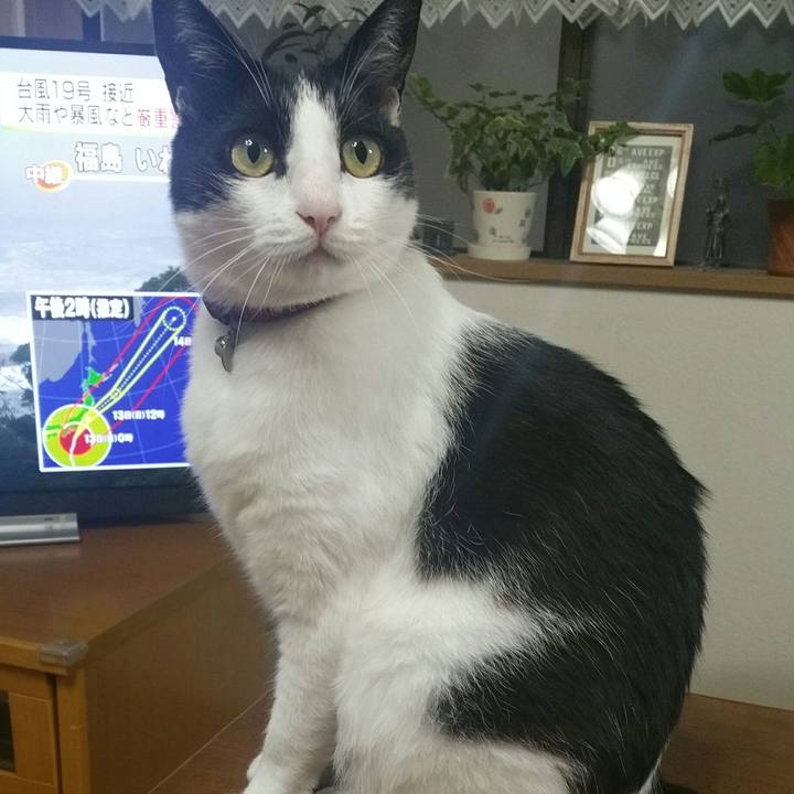 9429c695 991b 4a72 8b7c 26898cf014f9 1570860230245