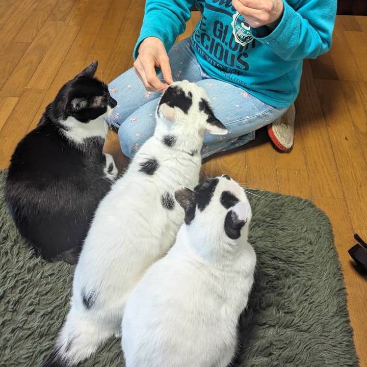 9429f5ba 21d0 42ee af18 08fd6b8123b8 1712366144640