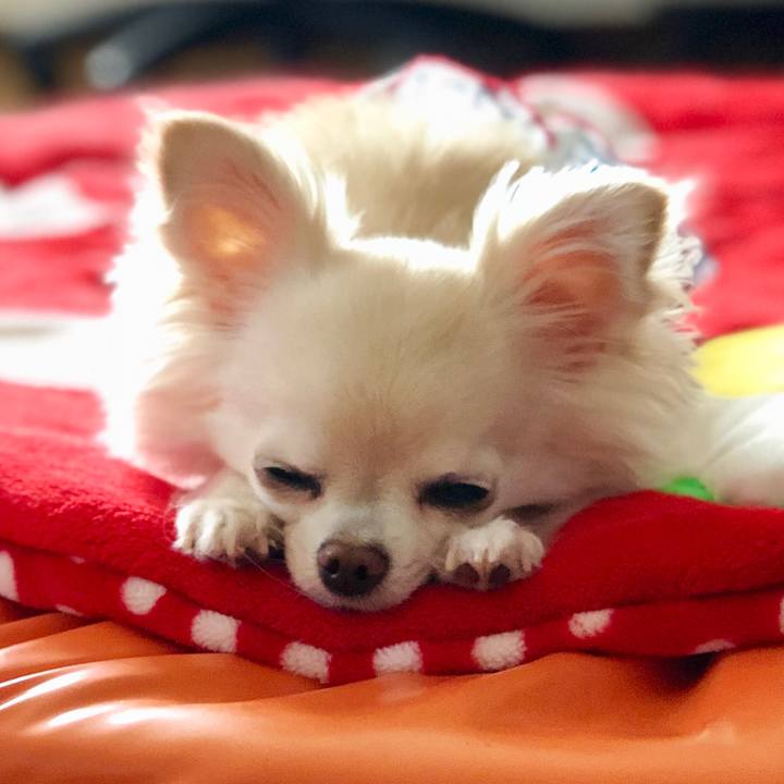 942a6bce 8b0a 4e50 9f65 e6f409856d95 1531639132861