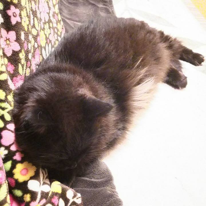 942a6e5a 2cc3 42d4 bc44 21d8c8ec5ca7 1524229654420