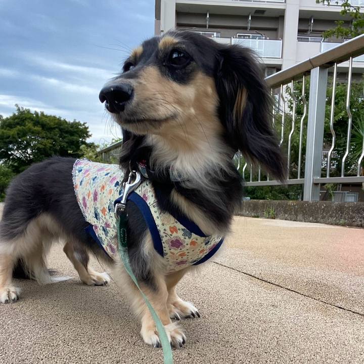 942a7e32 fcd0 41ed 8d07 82f580961a62 1754964295962