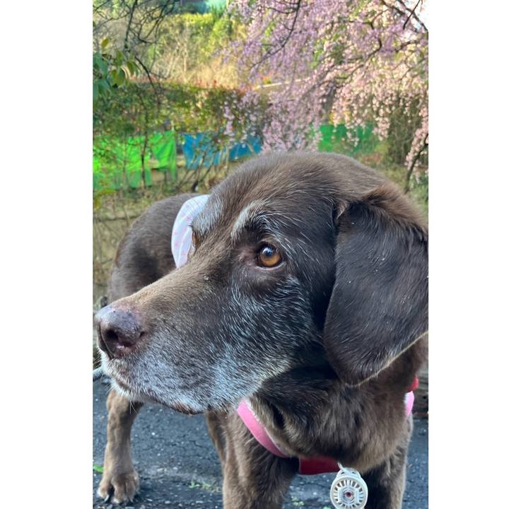 942aa8ea 742c 4949 ba65 78aaeb2856a0 1774776576518