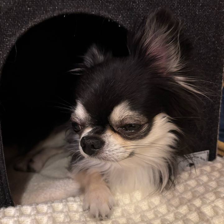 942aabf3 04b2 4a3f b966 c509fd58e87a 1749919607911